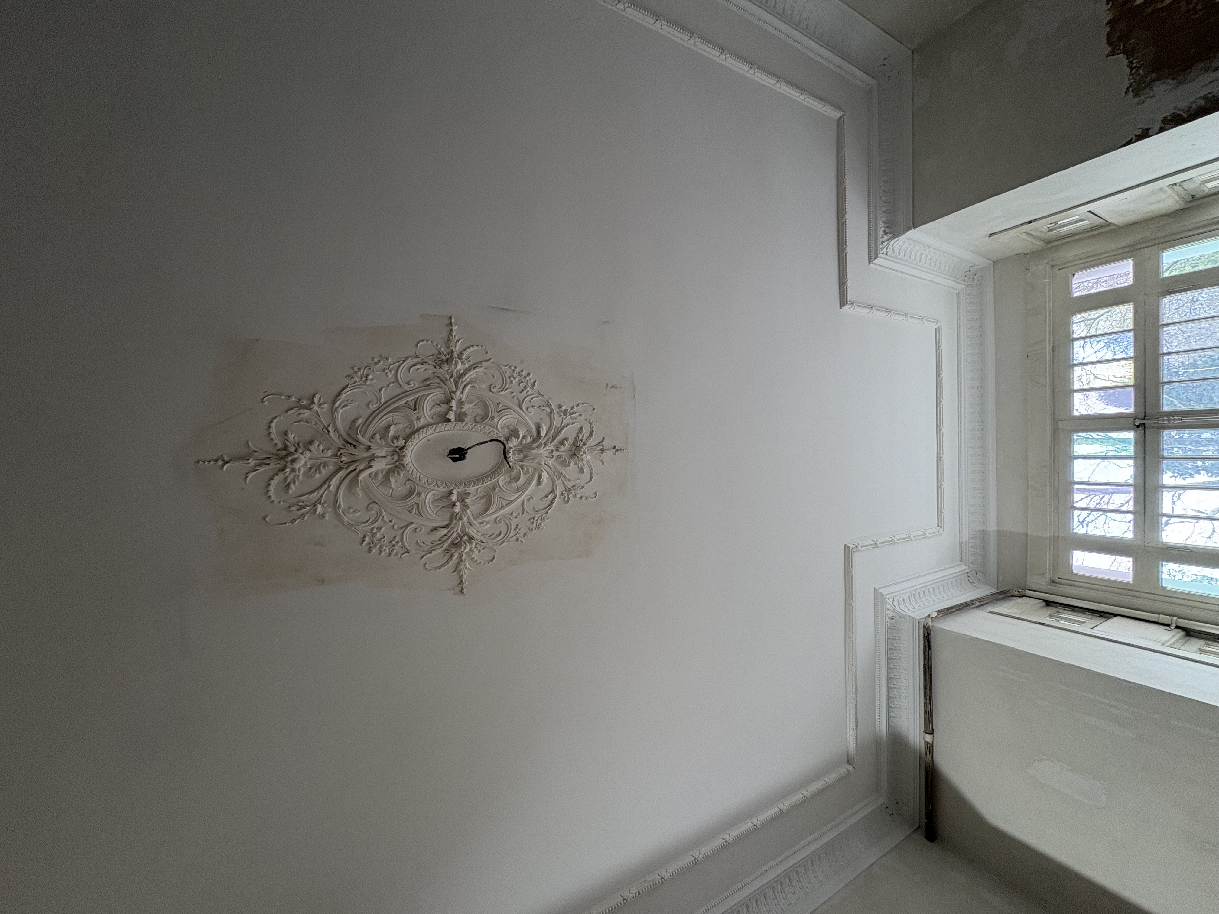 Ornements Décoratifs